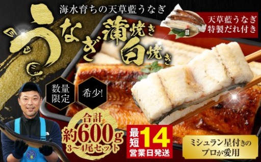 【ミシュラン星付きのプロが愛用】1日10セット限定！海水育ちの天草藍うなぎ 紅白3～4尾セット