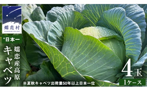 まもなく出荷開始！嬬恋産高原キャベツ