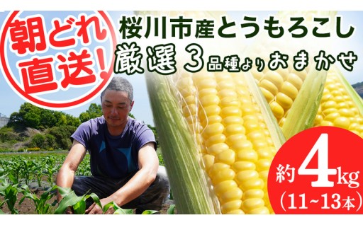 今季受付は＜ 本日7/10 23:59 ＞まで！🌽🏃💨