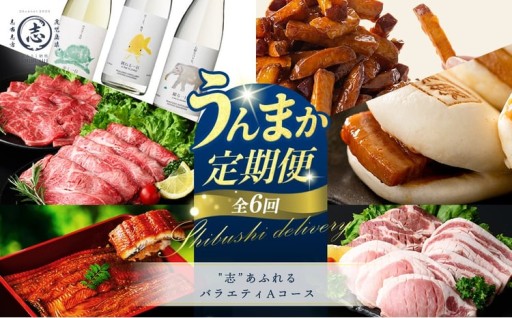 【定期便全6回】"志”あふれるバラエティAコース！志布志うんまか定期便