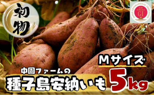 < 初物 8月下旬～9月上旬に発送 >  種子島 安納いも ( 生芋 )  5kg　