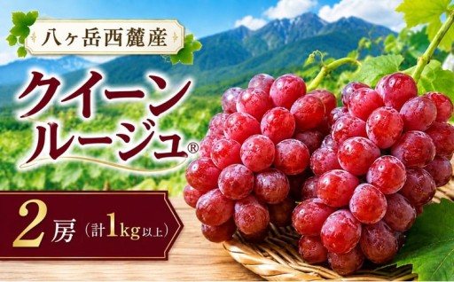 八ヶ岳西麓産 クイーンルージュ® 2房 ( 計 1kg 以上 )【2026年9月中旬～発送】