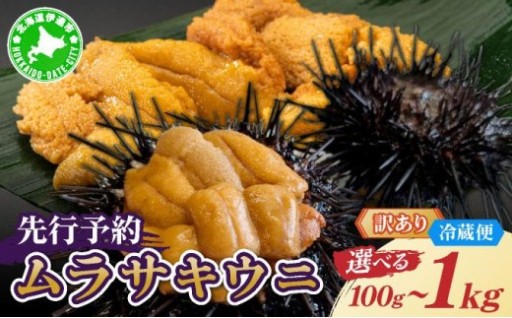 【訳あり】北海道産『ムラサキウニ』