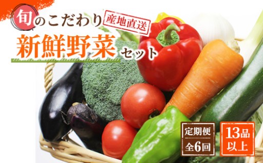 【定期便 / 全6回：奇数月お届け】旬の新鮮野菜セットB（たっぷり13種類以上）