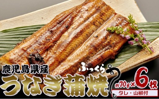 鹿児島県産　うなぎ蒲焼　約70g×6枚【タレ・山椒付】 