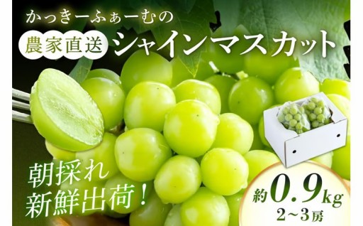 🎗️旬をお届け🎗️シャインマスカット🟢