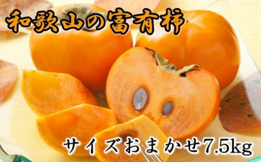 [甘柿の王様]和歌山産富有柿　約7.5kg サイズおまかせ★2026年11月中旬頃より順次発送