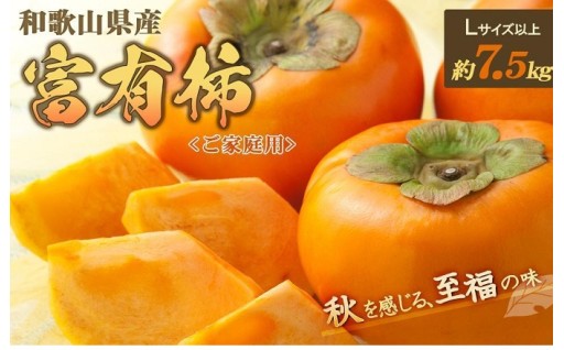 ◆先行予約◆和歌山県産 富有柿＜ご家庭用＞約7.5kg 満杯詰め［2026年11月上旬以降発送］
