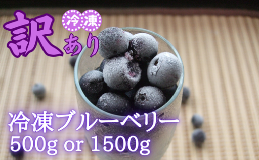 ✨【訳あり】シルクファーム産 農薬不使用の冷凍ブルーベリー（500g・1000g・1500g）✨