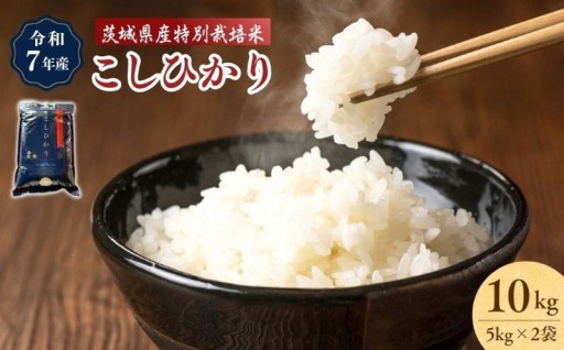 自信をもってオススメする、美味しいお米です