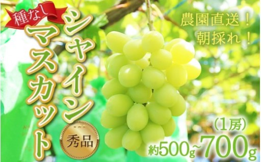 【厳選大粒】皮ごとパクリ✨プチッと弾ける食感😋