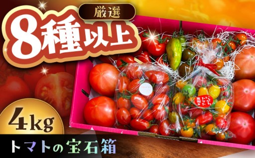 【たっぷり4kg！】8種以上の完熟トマト宝石箱