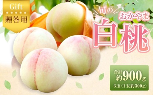 【贈答用】旬のおかやま白桃 3玉 （約900g）