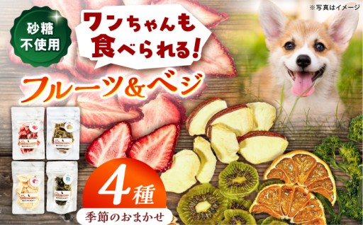 【砂糖不使用！】季節の恵みのドライフルーツ＆ベジ