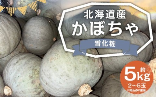 北海道産 かぼちゃ （雪化粧） 約5kg セット 【2026年10月上旬-11月上旬迄発送予定】