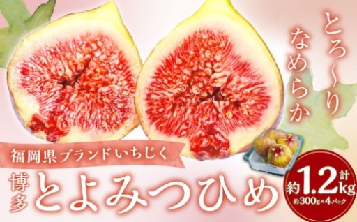 福岡県ブランド いちじく 「博多とよみつひめ」 約300g×4パック （計約1.2kg）