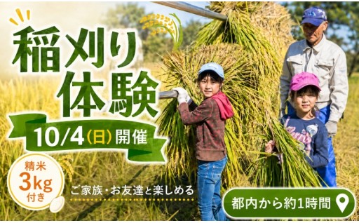 宮代町で秋を満喫！新しい村の選べる3大体験プラン