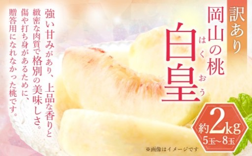 訳あり 白皇 5～8玉 （約2kg）