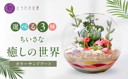 水やり不要！お部屋に飾る小さな癒しの世界