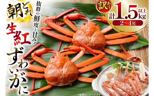 「生」ならではの抜群の鮮度と甘みをご自宅へ！