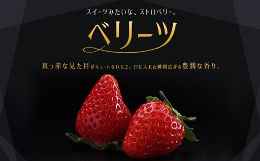 ＼大分の赤い宝石 ベリーツ 約270g×2パック／