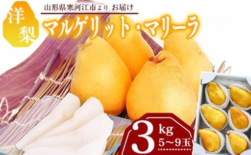 🍐程よい酸味と優しい甘さの洋梨🍐