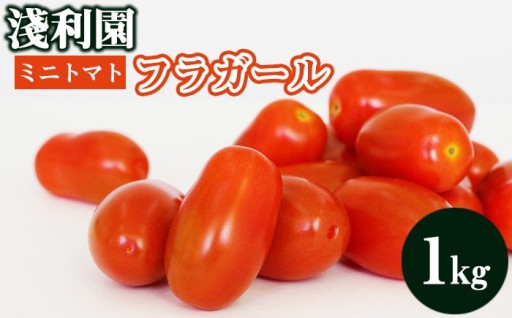 期間限定！ 旬の短い稀少なフラガール。