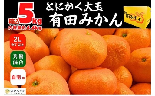 みかん 大玉 どっこいしょ 箱込 5kg または 10kg 2Lサイズ以上