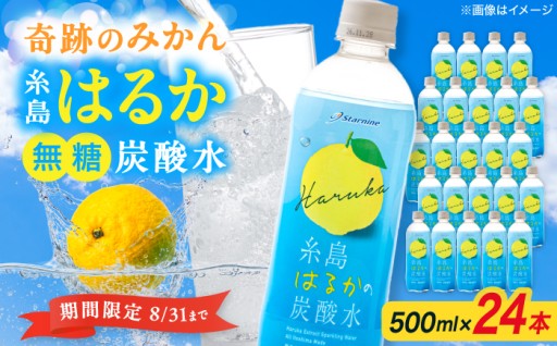 【期間・数量限定】奇跡のみかん糸島はるかの炭酸水！