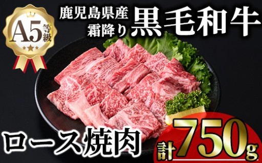 鹿児島県産黒毛和牛霜降りロース焼肉 (計750g)