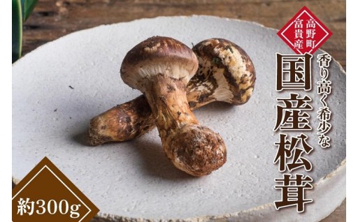 和歌山県産 香り高く希少な国産 松茸 約300g【2026年10月中旬頃より順次発送】