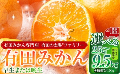 【選べる容量】有田みかん専門店 有田の太陽®ファミリー 早生または晩生  2.5～9.5kg＋補償分100g 