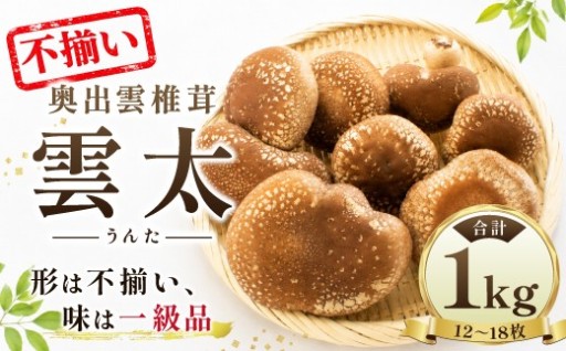 奥出雲椎茸「雲太」不揃い 1kg 🍄✨