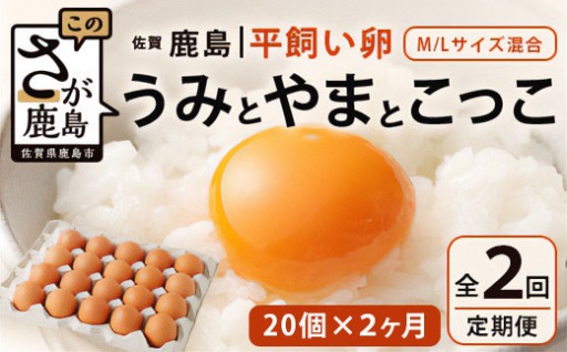 定期便 2回 平飼い卵 うみとやまとこっこ 上田養鶏場 20個 2回