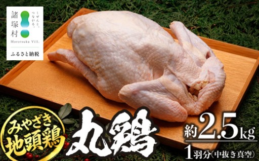 噛むほど旨い！みやざき地頭鶏 丸鶏 セット