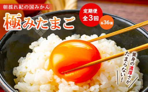 【全3回】紀の国みかん極みたまご定期便 卵 たまご 玉子 タマゴ 鶏卵 卵かけご飯