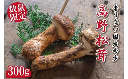 先行予約 国産松茸 約300g 数量限定 香り高く希少【和歌山県高野町産】【2026年9月下旬～11月上旬発送】