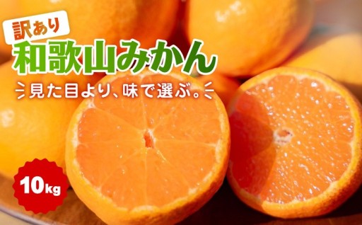【訳あり】和歌山みかん 約9.5kg+補償分約500g サイズ混合 11月より順次発送 