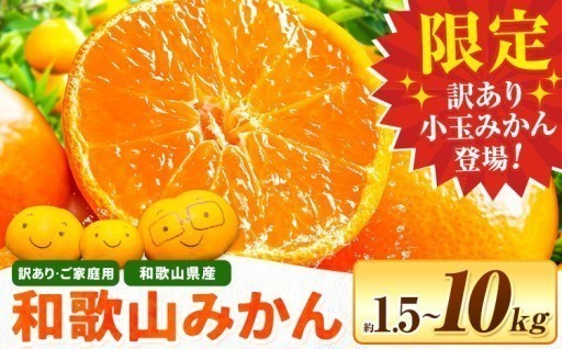 ご家庭用にぴったり🍊選べる和歌山みかん！