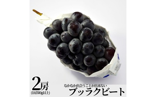 パリッと皮ごと楽しむブラックビート