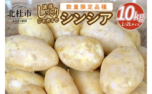 【数量限定品種】濃厚しっとり食感 ジャガイモ シンシア 10kg