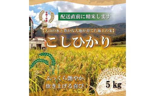 新規！ 鳥取の大地が育んだふっくらこしひかり