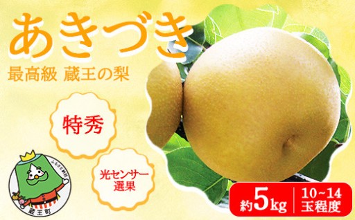 【先行予約】あきづき 約5kg 特秀･大玉