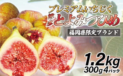 【令和8年度産】【先行予約】福岡県産 とよみつひめ 1.2kg(300g×4パック) [M1015]