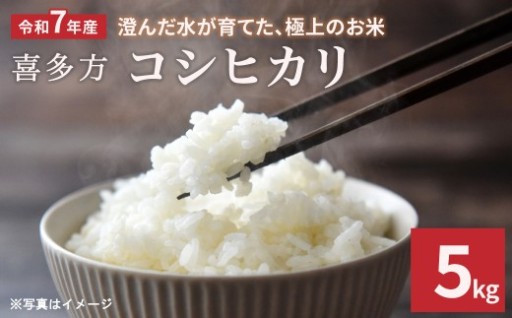【令和7年産】コシヒカリ5kg
