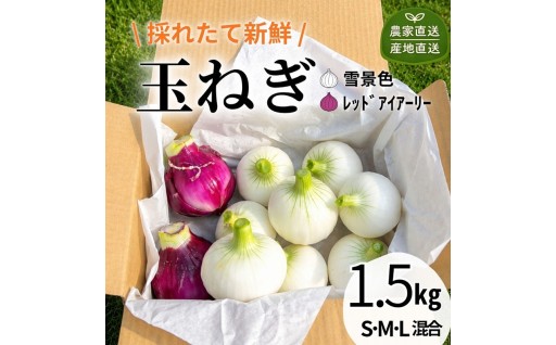 【本日申し込み開始】北海道十勝池田町・ゆうゆう農園「水にさらさない」新食感玉ねぎセット