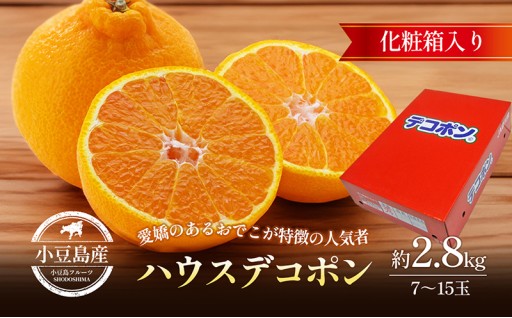 先行予約受付中！ハウスデコポン 約2.8kg 