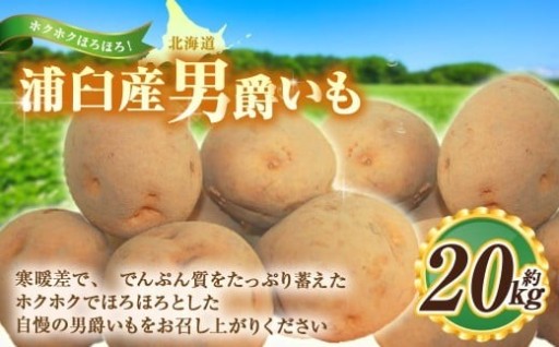 男爵いも 約20kg