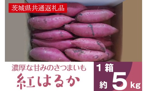 2025年度産 濃厚な甘みさつまいも 紅はるか5kg