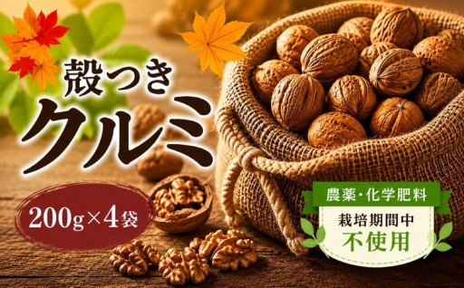 【2025年秋収穫】殻つきクルミ 200g☓4袋
